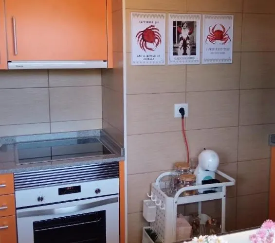 아파트 El Pisito De 바이오나